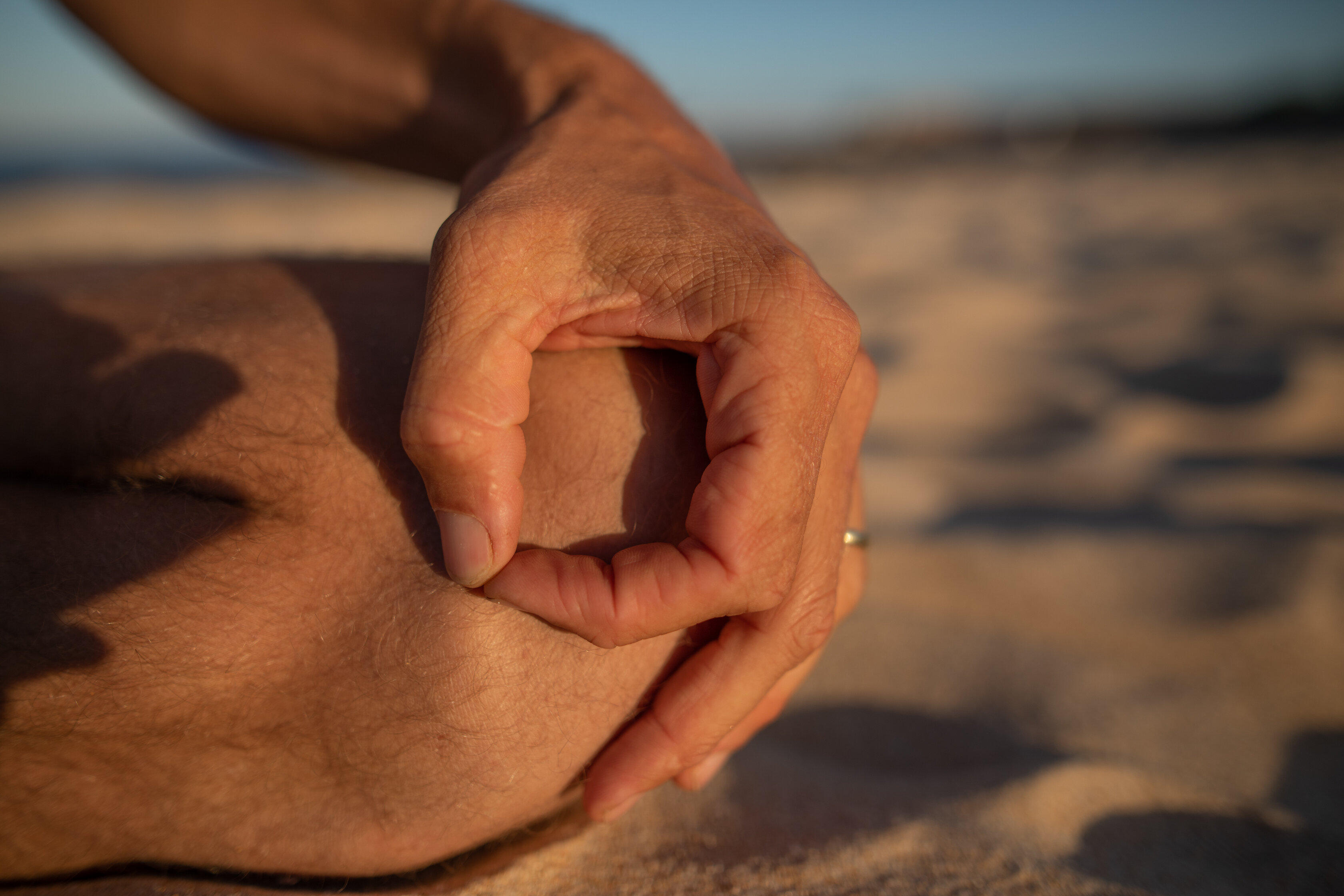 michael meditation mind training mindfulness mudra