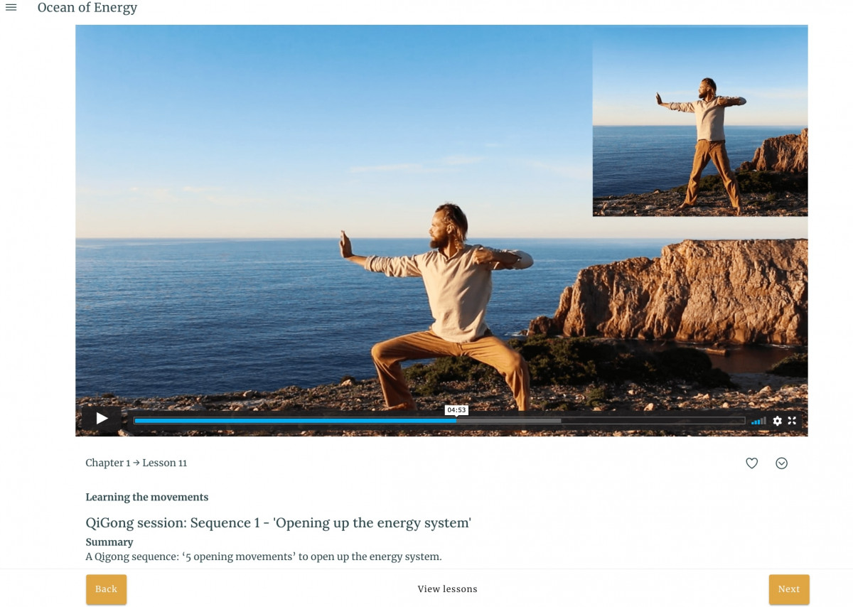 Online QiGong 2